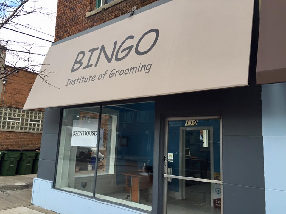 Bingo Institute of Grooming in Hazel Park
